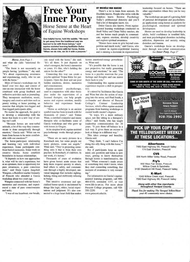 Yellow Sheet Newspaper feature on Life-Is-Art workshops in Skull Valley